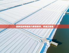 瑞典篮球明星助力慈善赛事，传递正能量