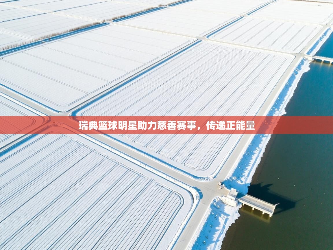 瑞典篮球明星助力慈善赛事，传递正能量  第1张